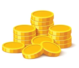 Coin Flip